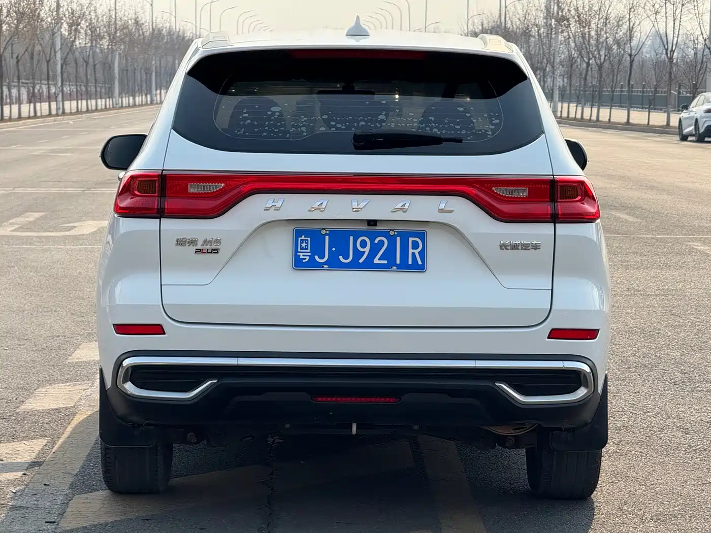HAVAL M6