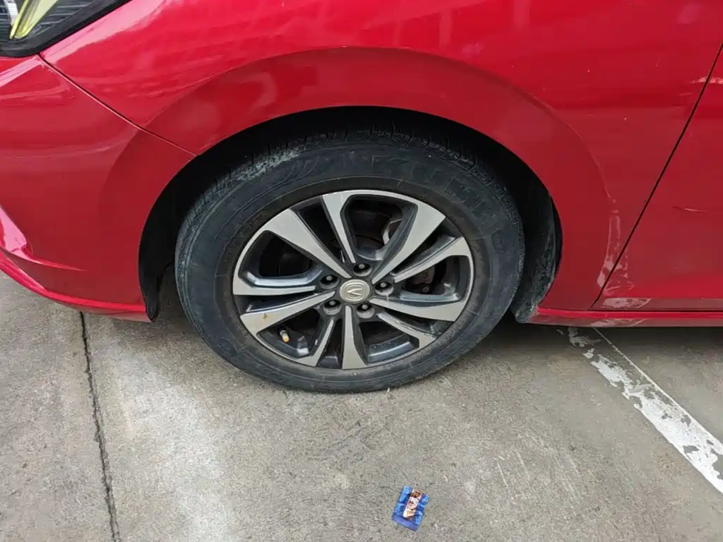 Фото 23 - Changan Eado