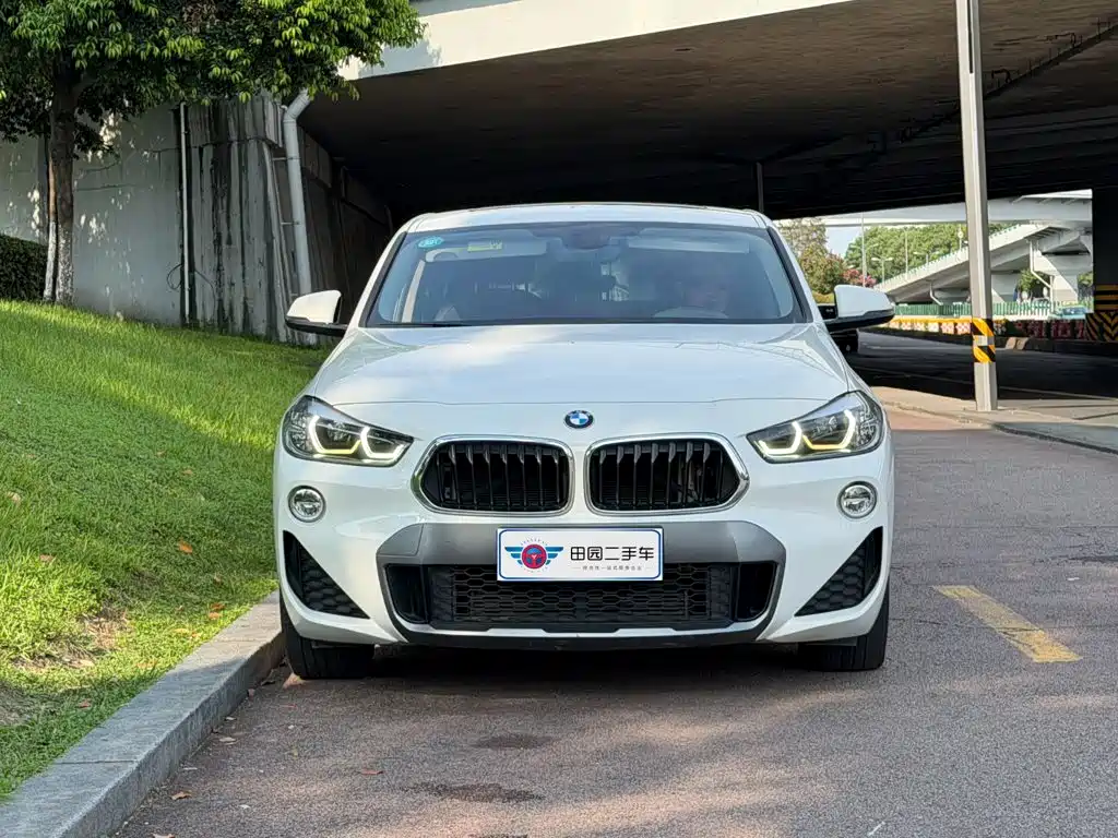 BMW X2 (Import) 2019 2019 sDrive20i M Off-Road Package China VI