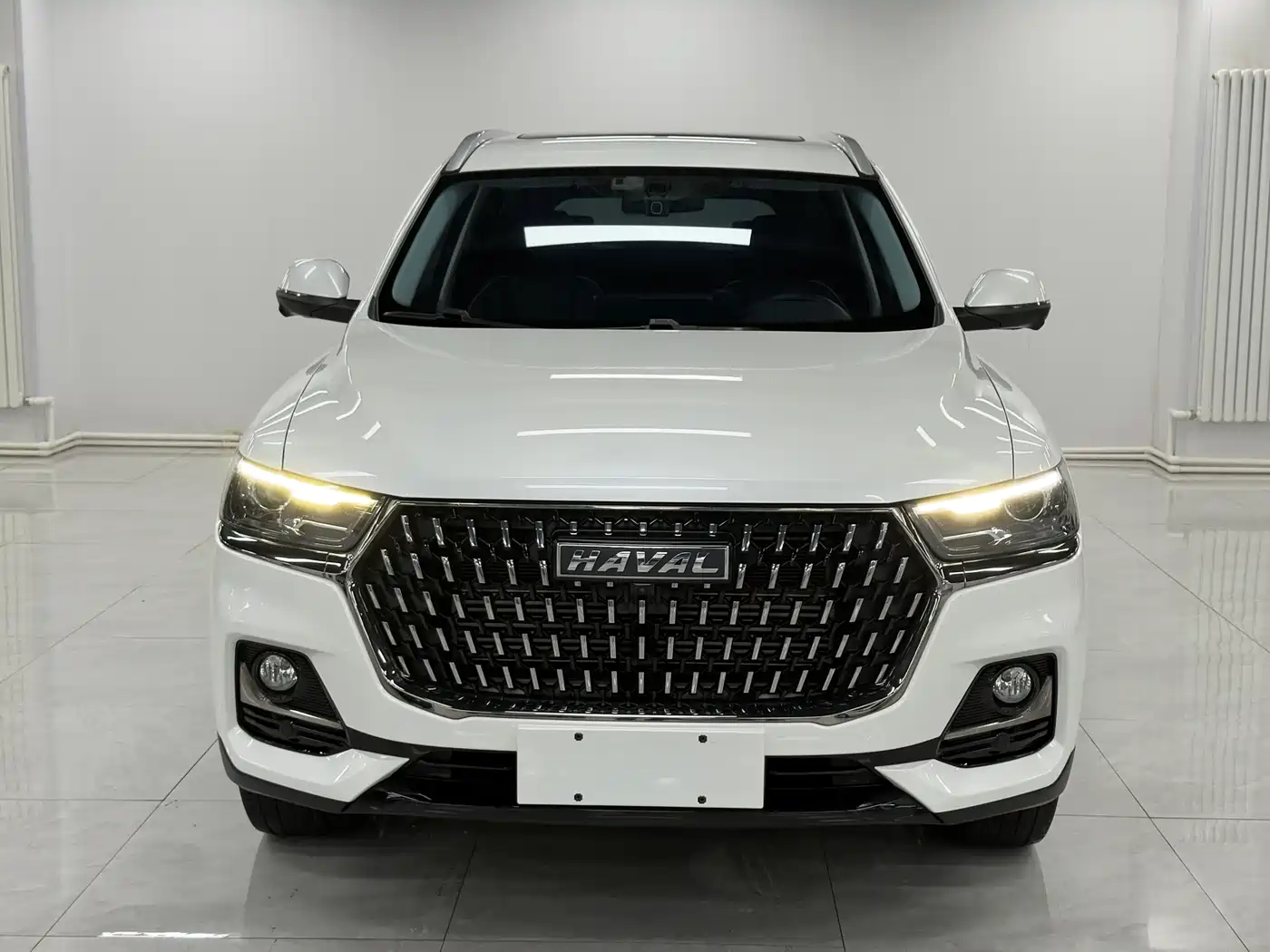 Haval H6 2023 National Trend Edition 1.5T Automatic Urban фото 2
