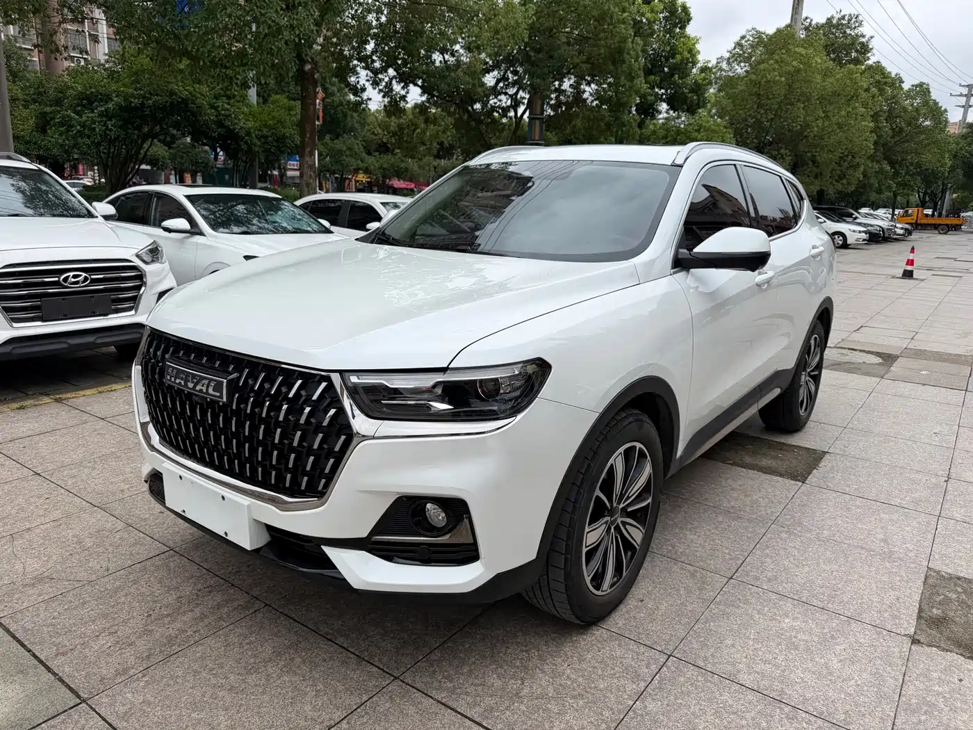 Haval Haval H6 2023 National Trend Edition 1.5T Automatic Champion