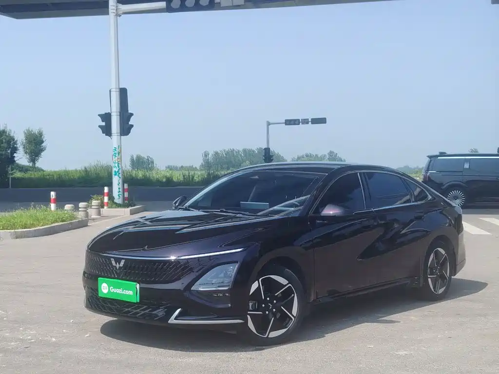 Wuling Motors Wuling Xingguang 2025 2024 Co-Creation Edition 150 Pilot
