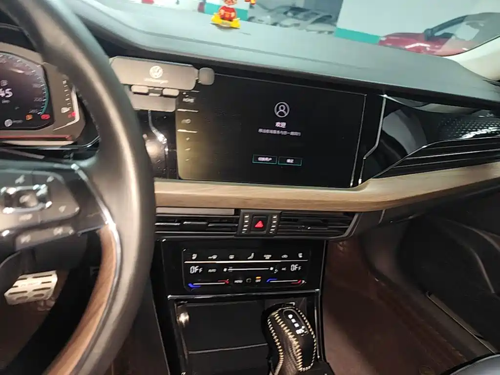 Photo 13 - Volkswagen Passat