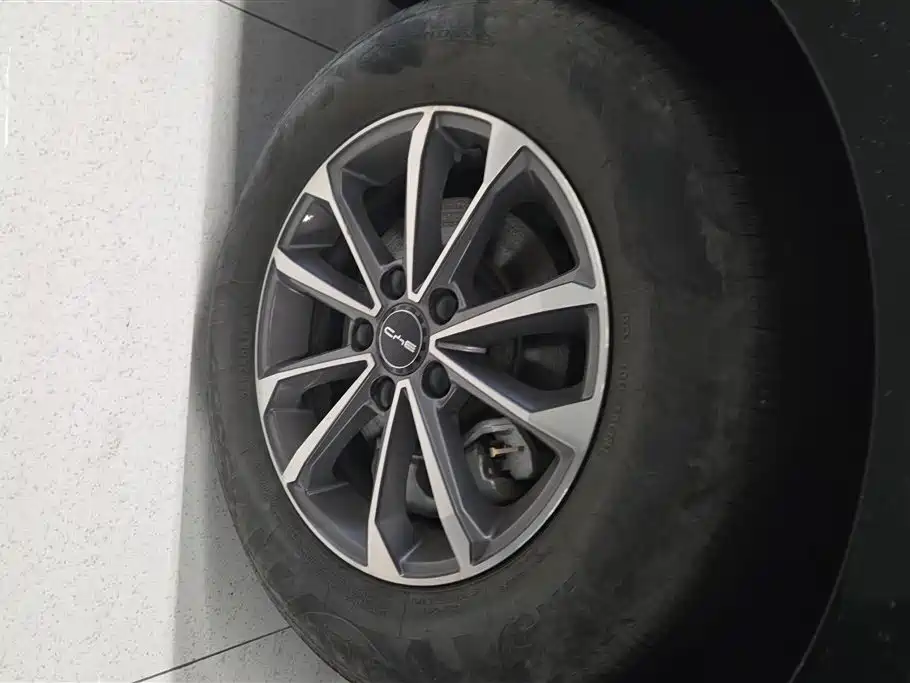 BYD Destroyer 05 2024 Glory Edition DM-i 55KM Luxury фото 6