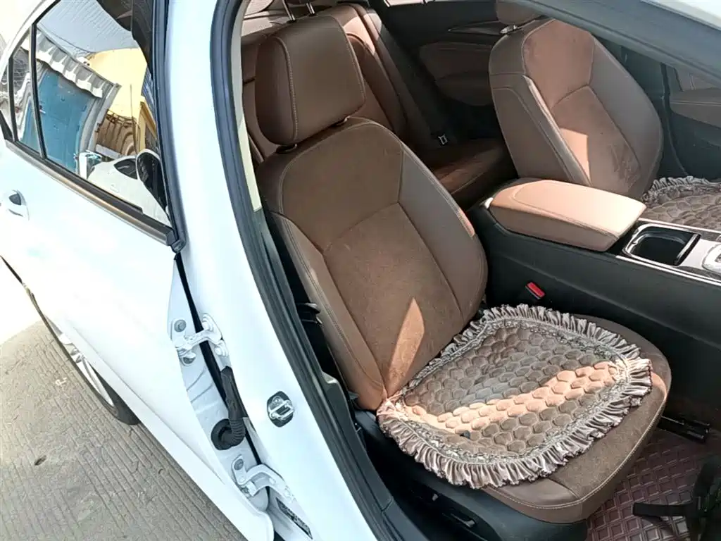 Buick Regal 2017 20T Elite Type фото 25