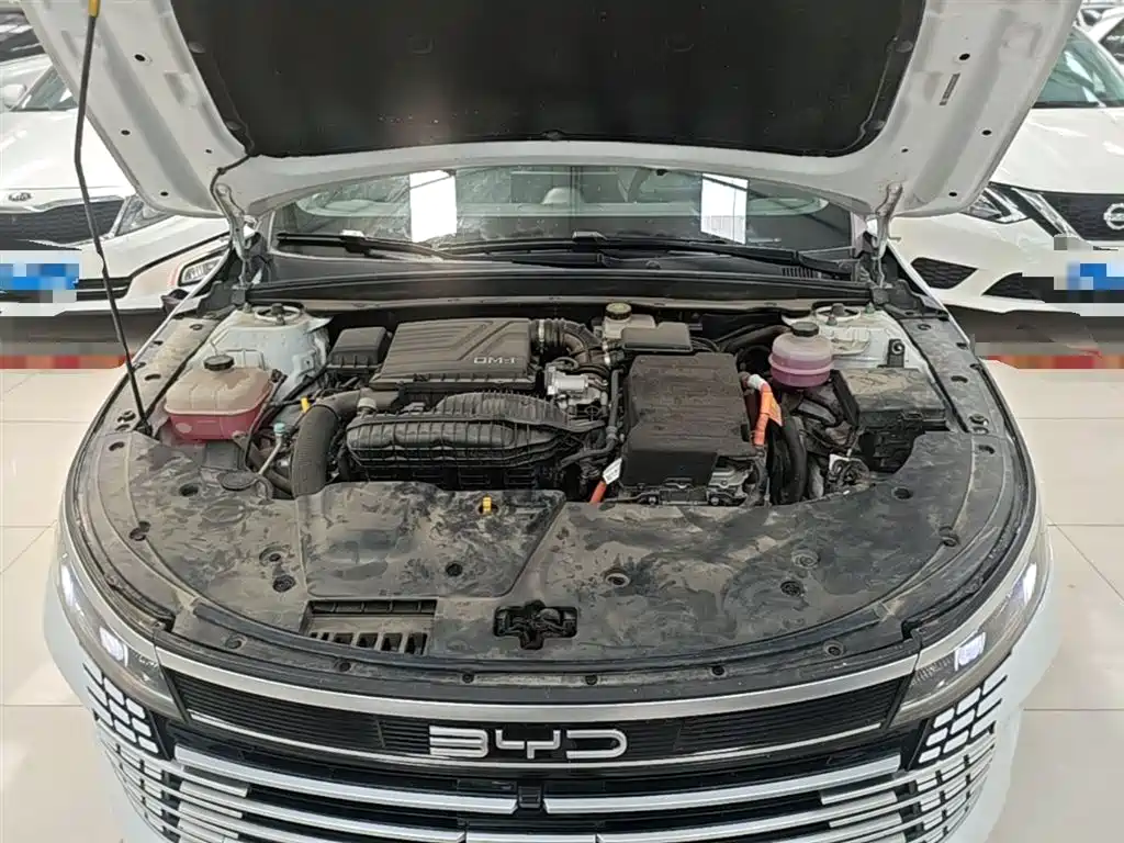 BYD Destroyer 05 2024 Glory Edition DM-i 55KM Luxury фото 20