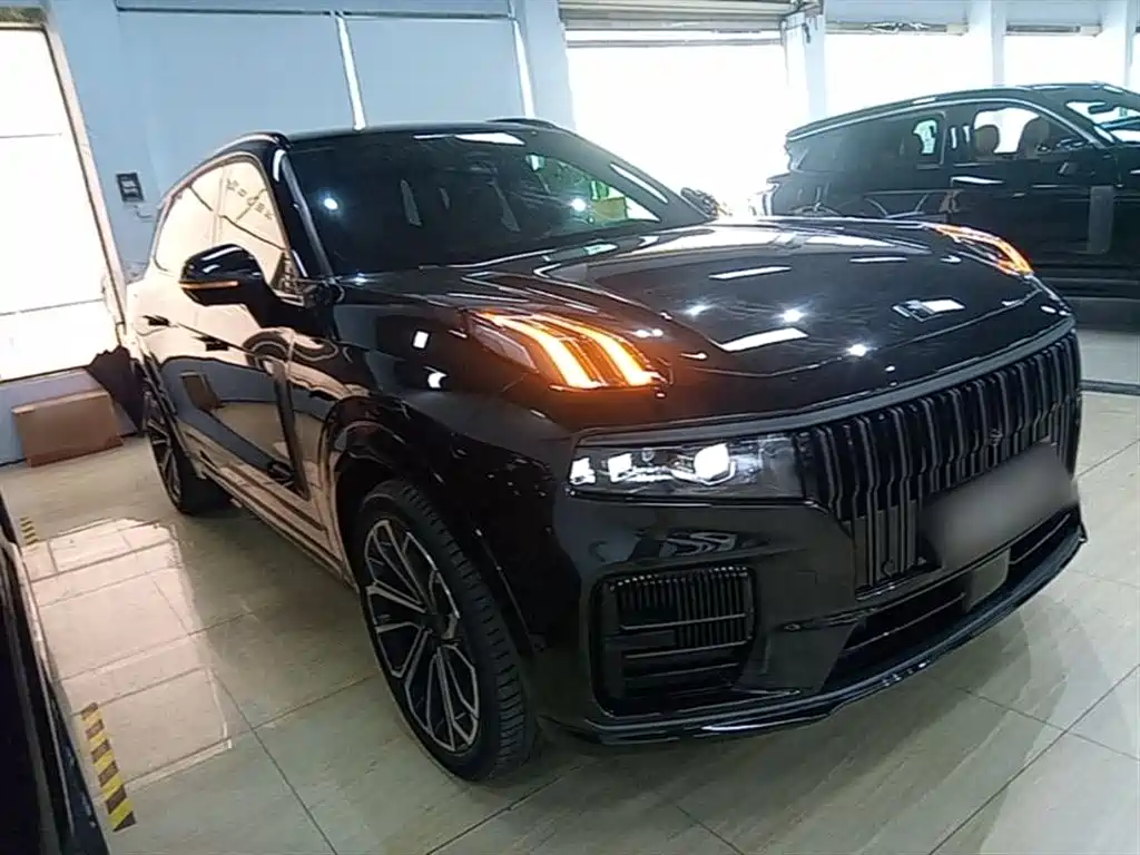 Lynk & Co 09 2021 2.0T Halo 7-seater фото 4