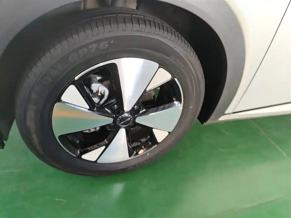 BYD Dolphin 2023 420km Fashion Edition фото 23