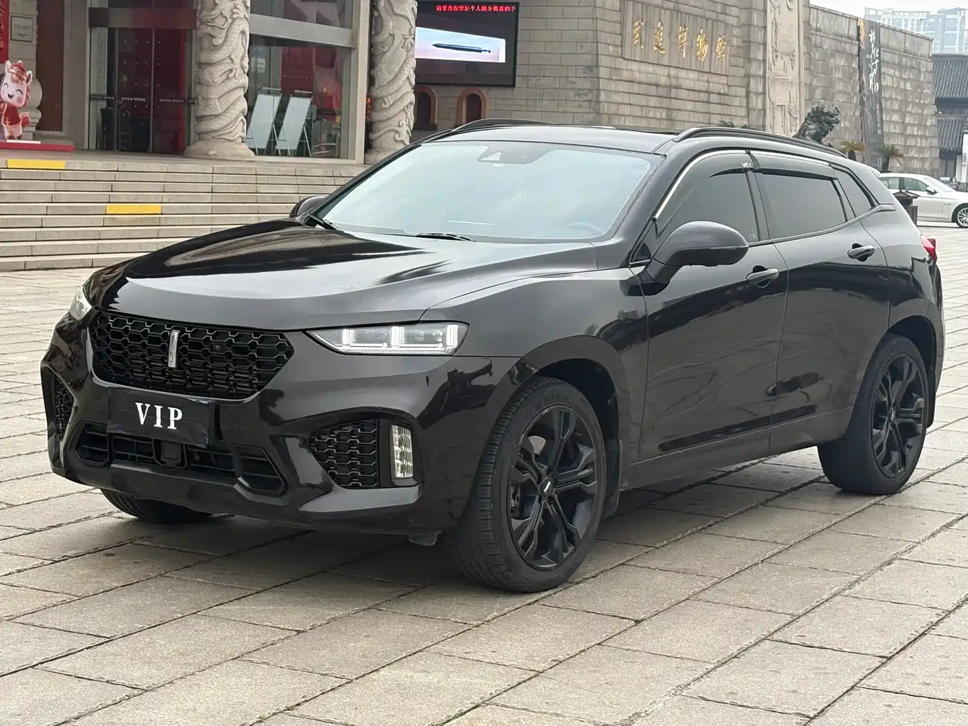 WEI PAI WEI BRAND VV7