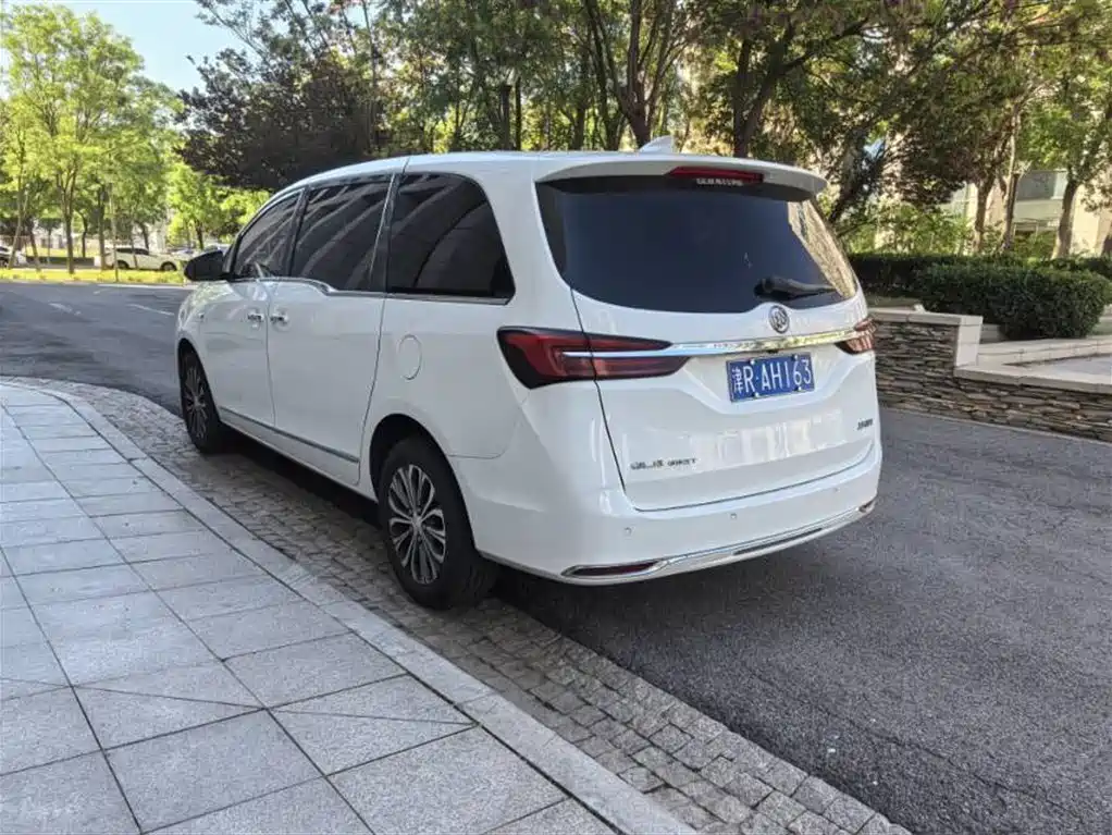 Buick GL8 2021 Land Business Class 652T Luxury фото 6