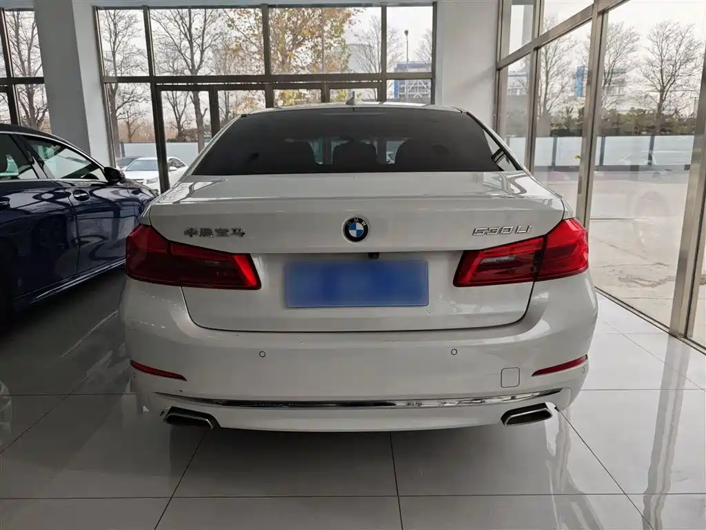 BMW 5 Series 2020 530Li Leading Luxury Package фото 22