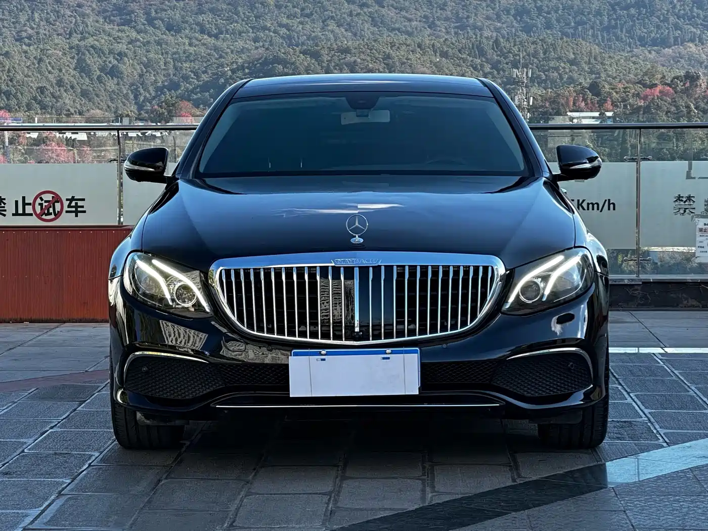 Mercedes-Benz E-Class 2019 Facelift E 300 L Sport Fashion фото 2