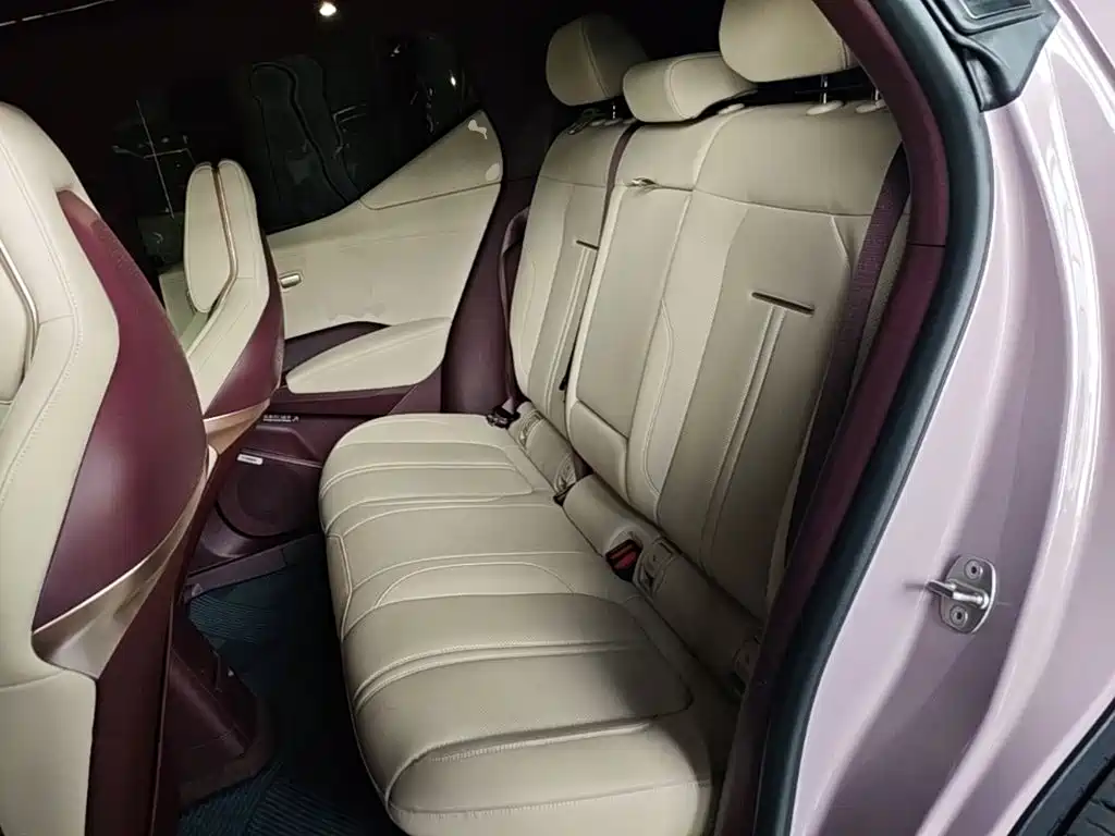 ZEEKR X 2025 2025 5-Seater RWD Edition