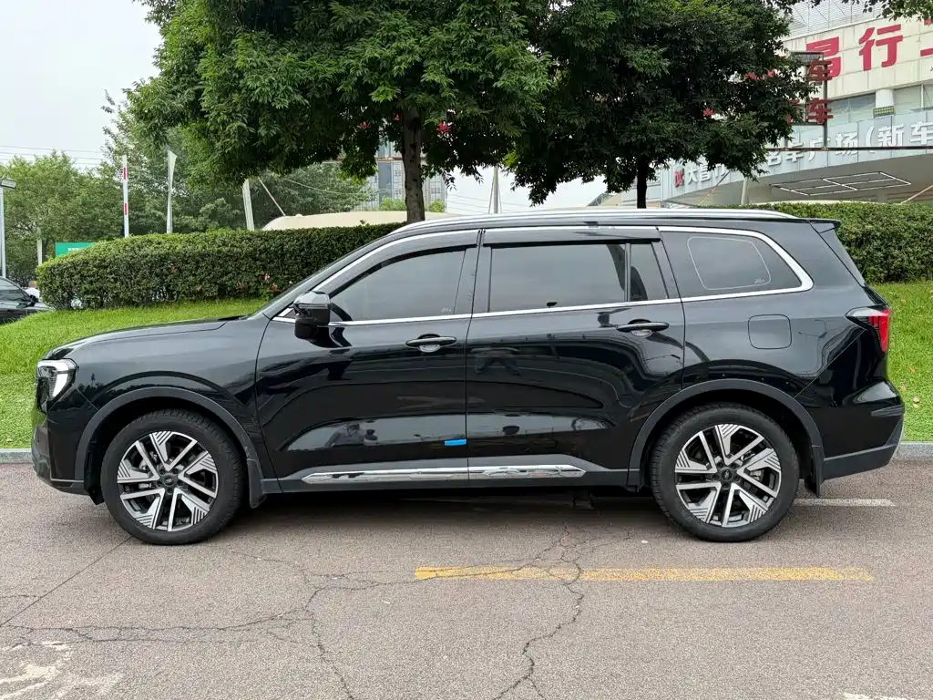 Ford Lingrui New Energy 2025 2025 Model Premium Edition