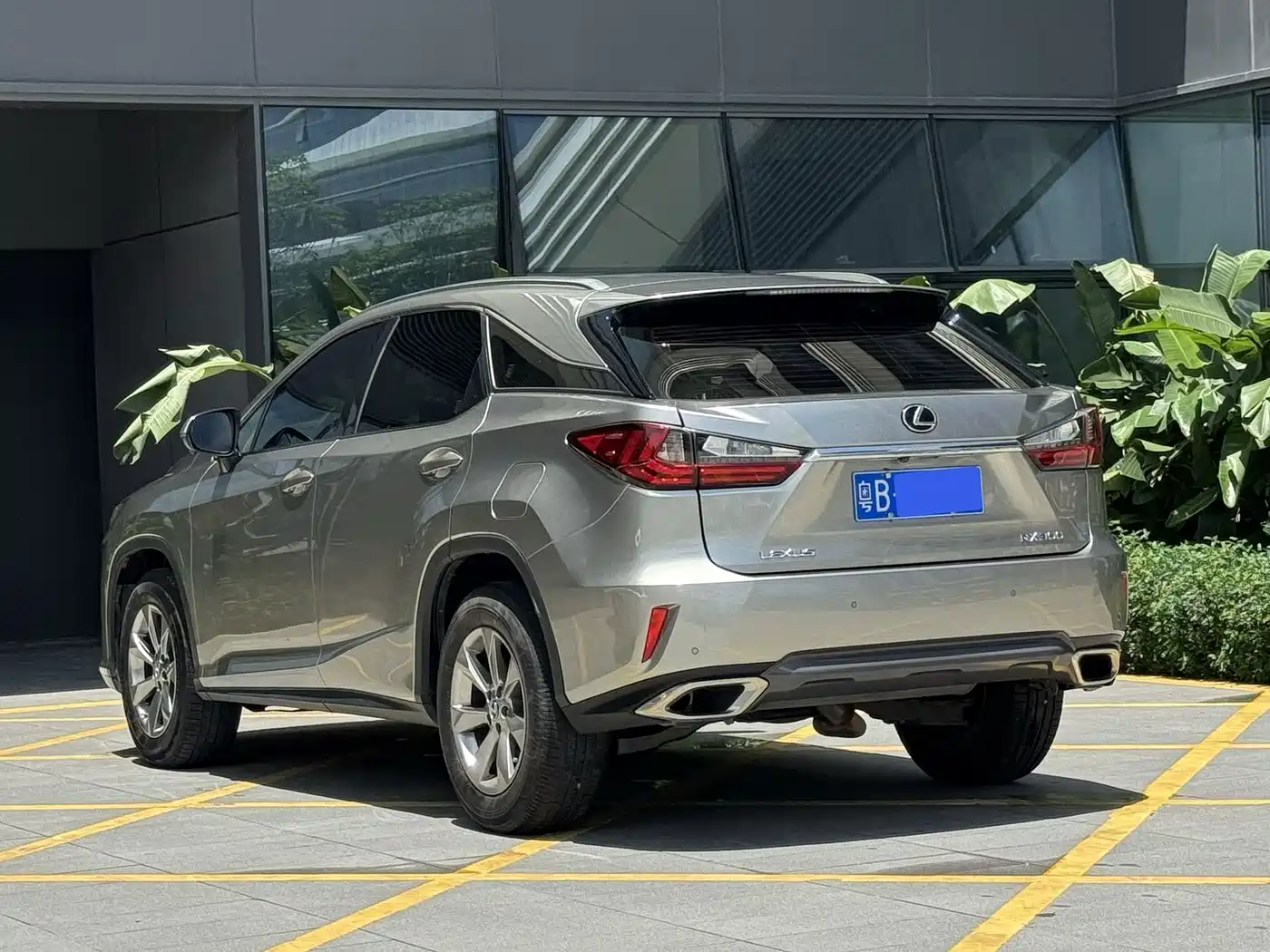 Фото 7 - Lexus RX