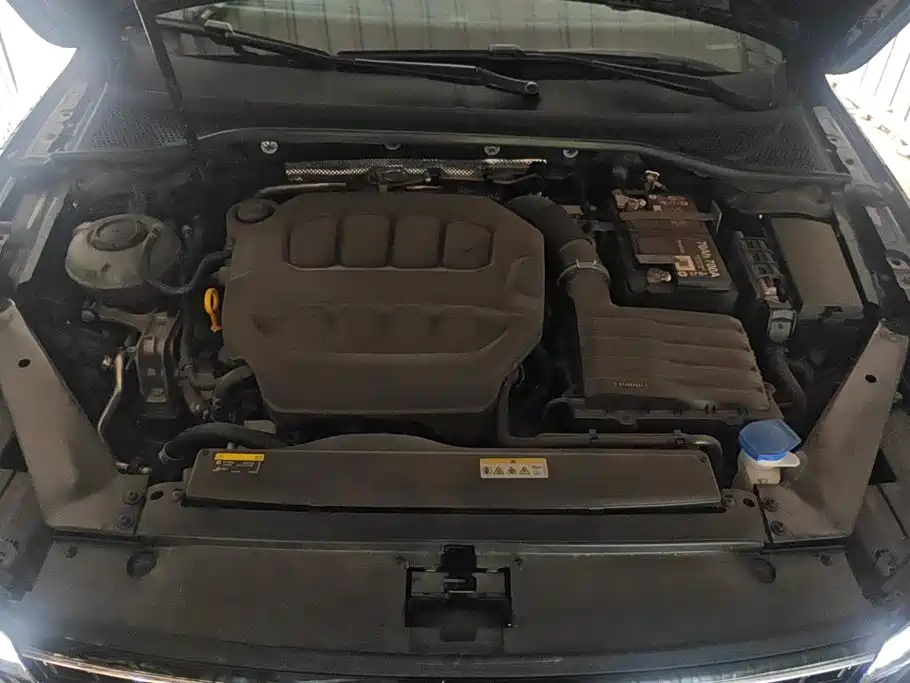 Volkswagen Magotan 2026 2026 Model 30 Million Special Selection 380TSI DSG Luxury