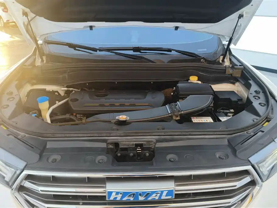 Haval H6 2017 Blue Label 2.0T Auto 2WD Leader фото 10