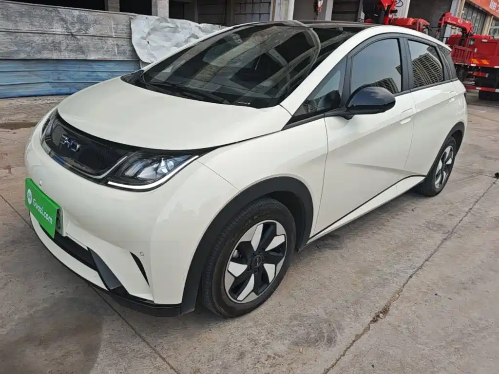 BYD Dolphin 2024