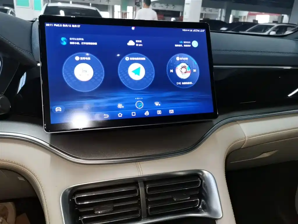 BYD Song PLUS PHEV 2023 Champion Edition DM-i 150KM Flagship PLUS фото 13
