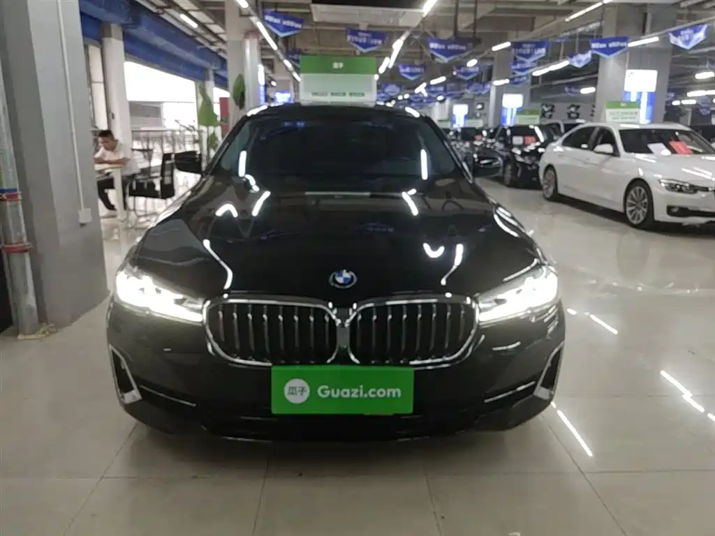 BMW 5 Series 2022 530Li Leading Luxury Package фото 3
