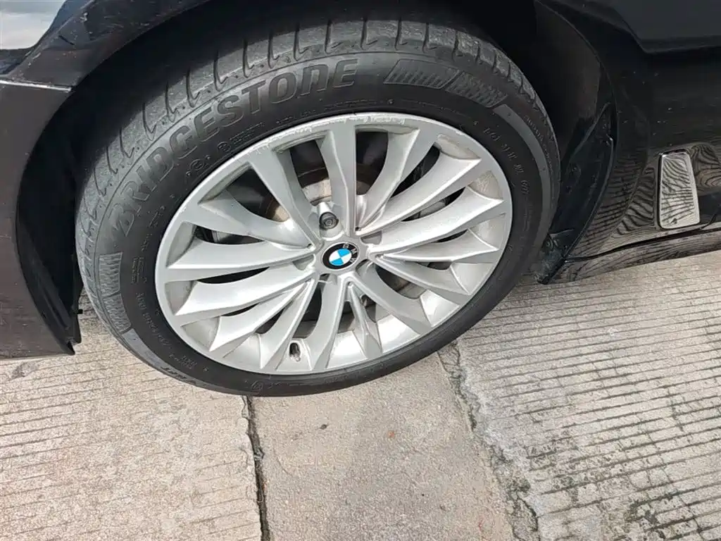 BMW 5 Series 2018 Facelift 530Li Leading Luxury Package фото 22