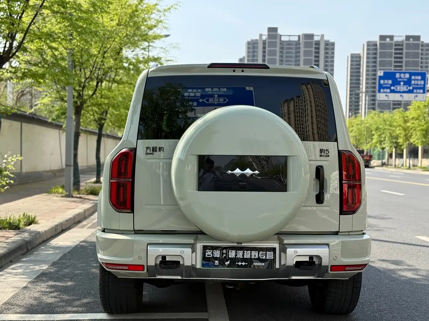 FANG CHENG BAO LEOPARD 5