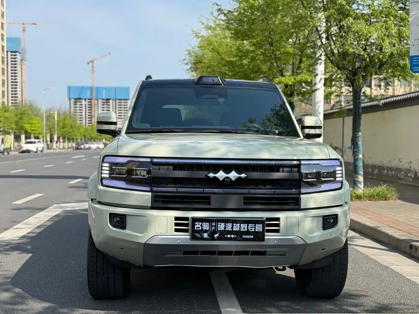 FANG CHENG BAO LEOPARD 5