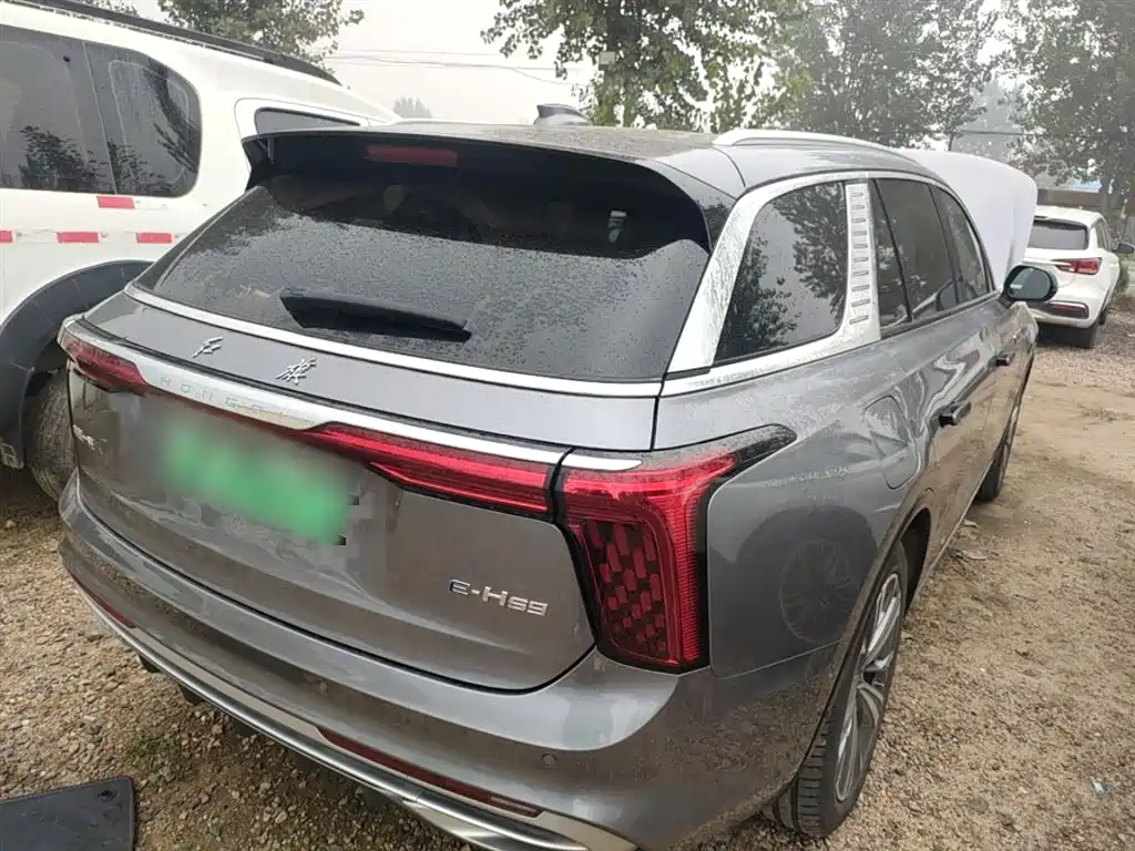 Hongqi E-HS9 2022 690km Qi Xiang Edition (6-seater) фото 23