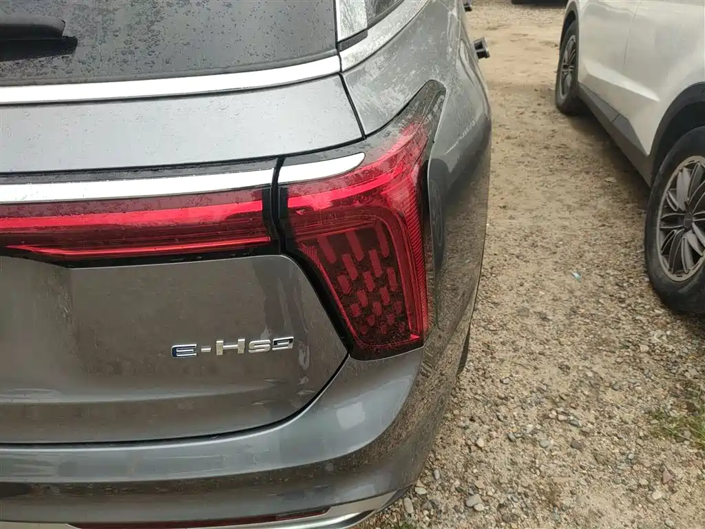 Hongqi E-HS9 2022 690km Qi Xiang Edition (6-seater) фото 24