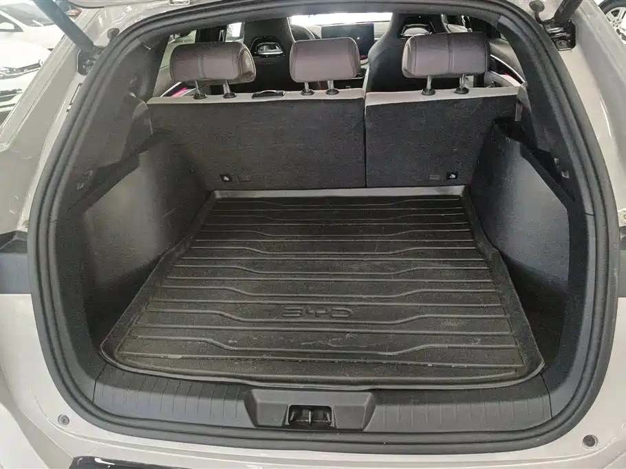 BYD SONGJIANG NEW ENERGY