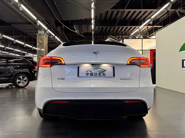 Tesla Model Y 2022 Long Range AWD — фото 5