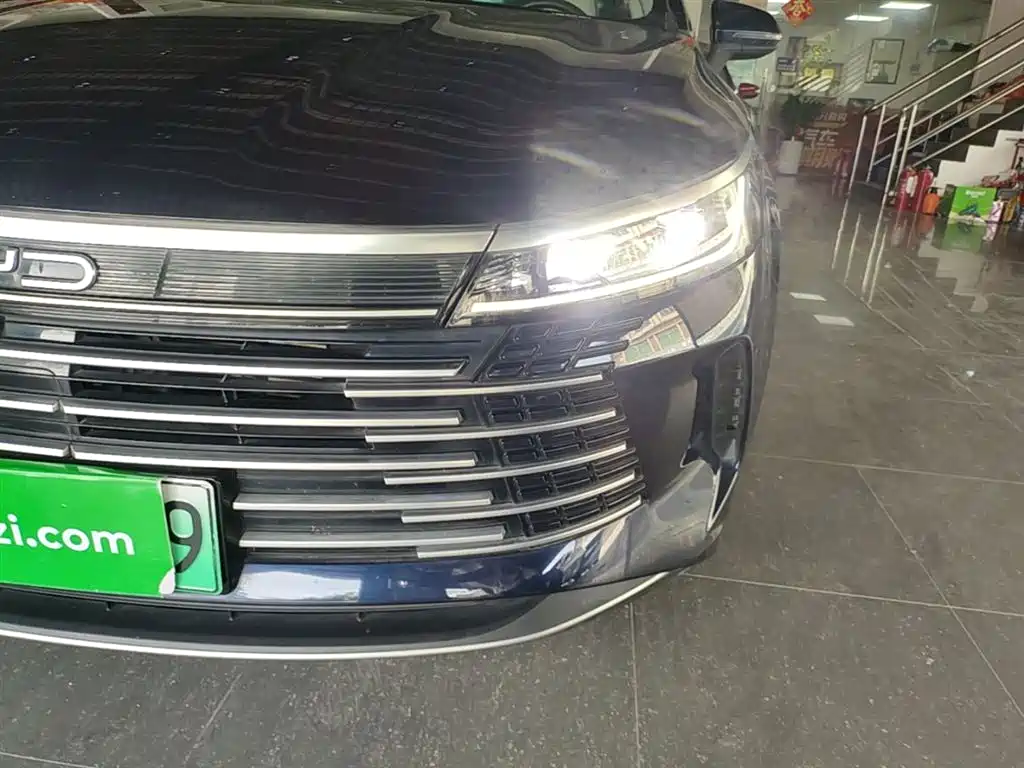 BYD Destroyer 05 2024 Glory Edition DM-i 55KM Luxury фото 24