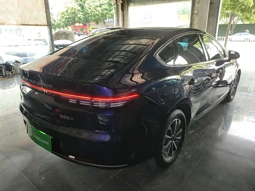 BYD Destroyer 05 2024 Glory Edition DM-i 55KM Luxury фото 7