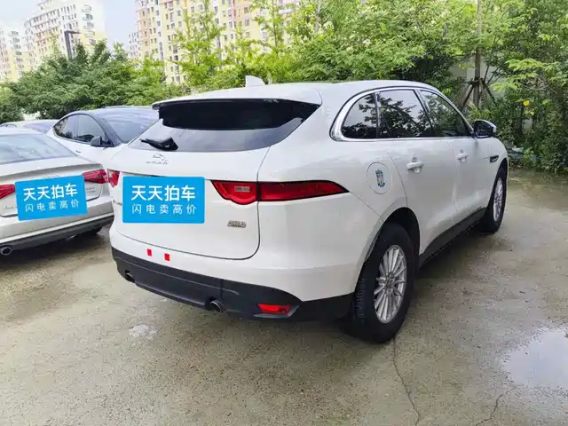 Jaguar F-PACE 2019 2.0T 4WD Urban Premium Edition — фото 2