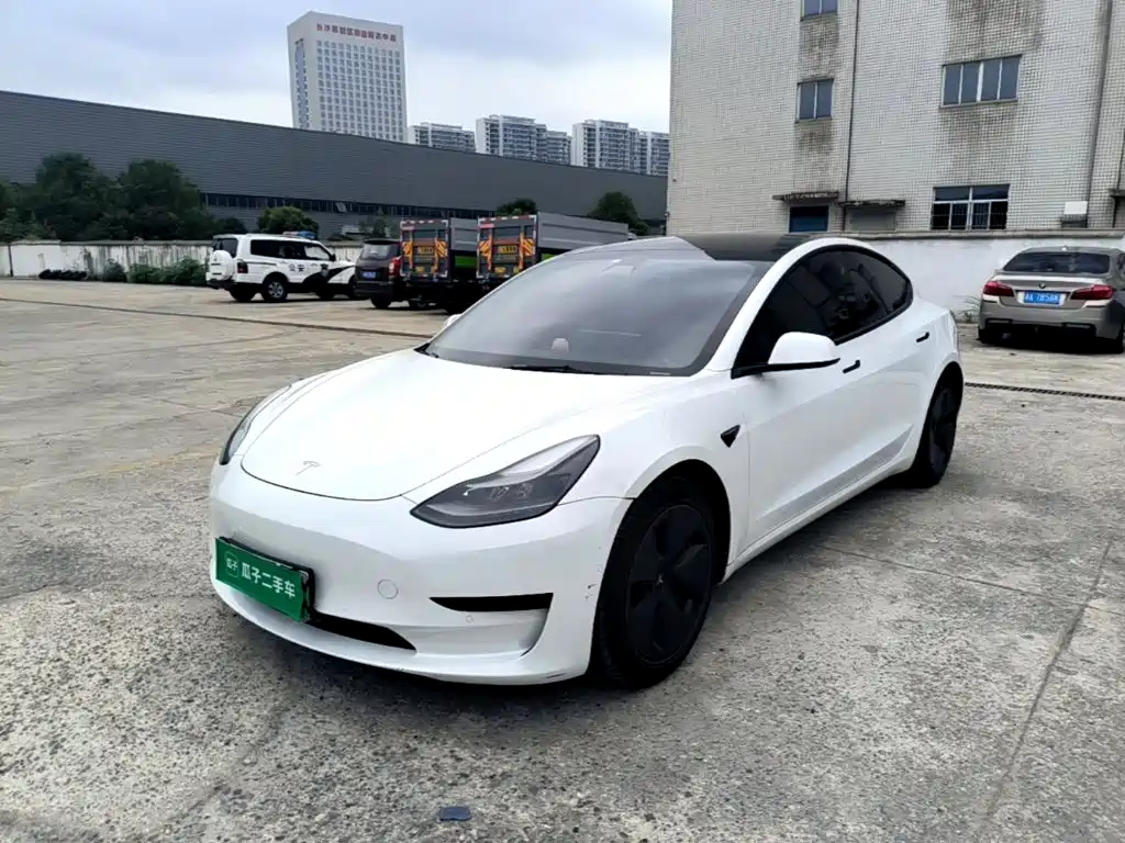 Tesla Model 3 2021 Facelift Standard Range RWD Upgrade 3D1