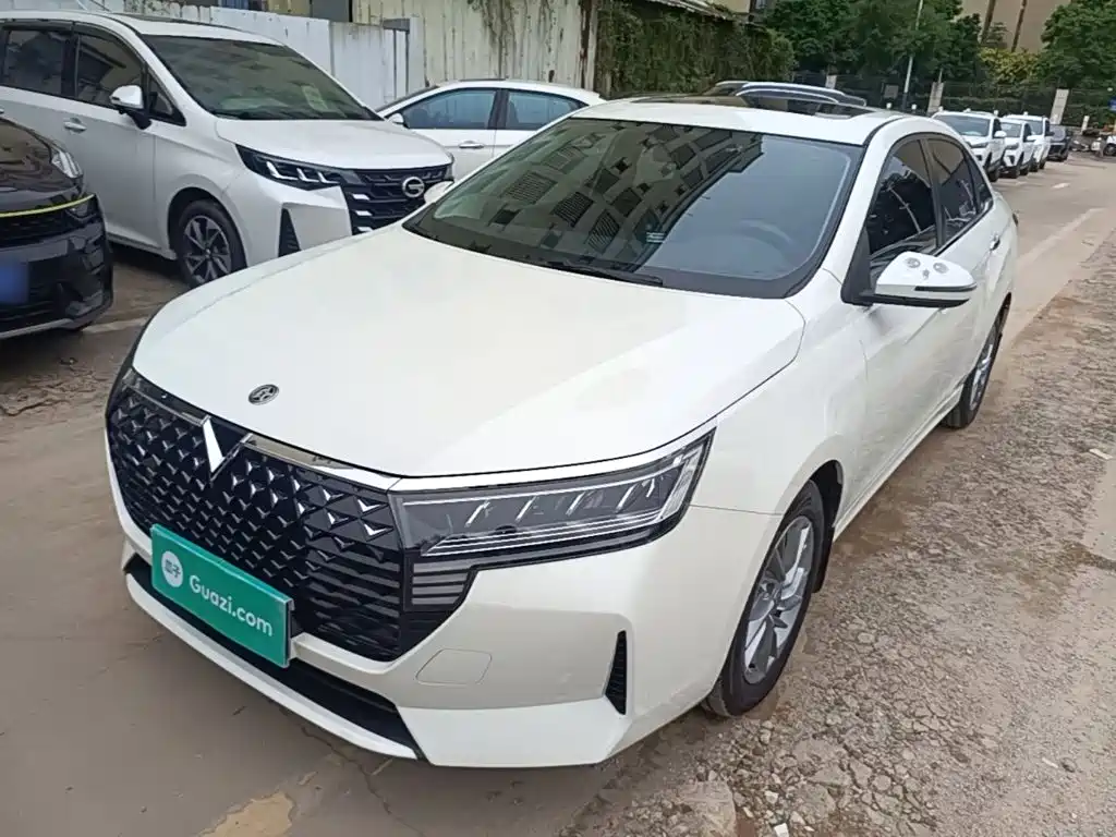 2024 Venucia D60