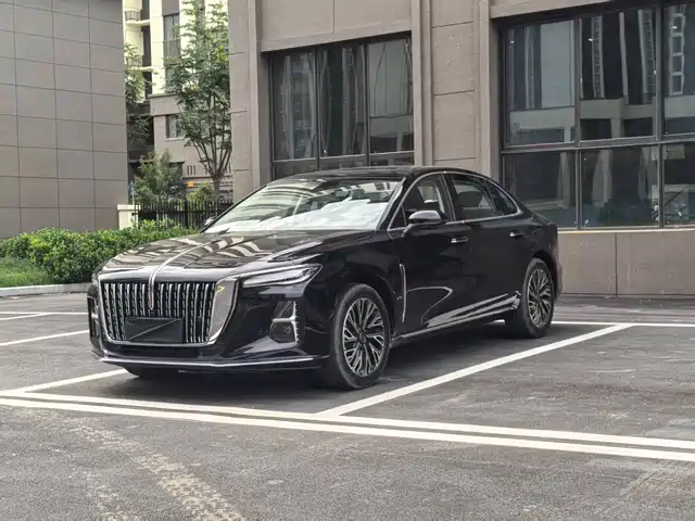  Hongqi Hongqi H5 2025 2.0T Automatic Flag Celebration 500,000 Units Anniversary Edition