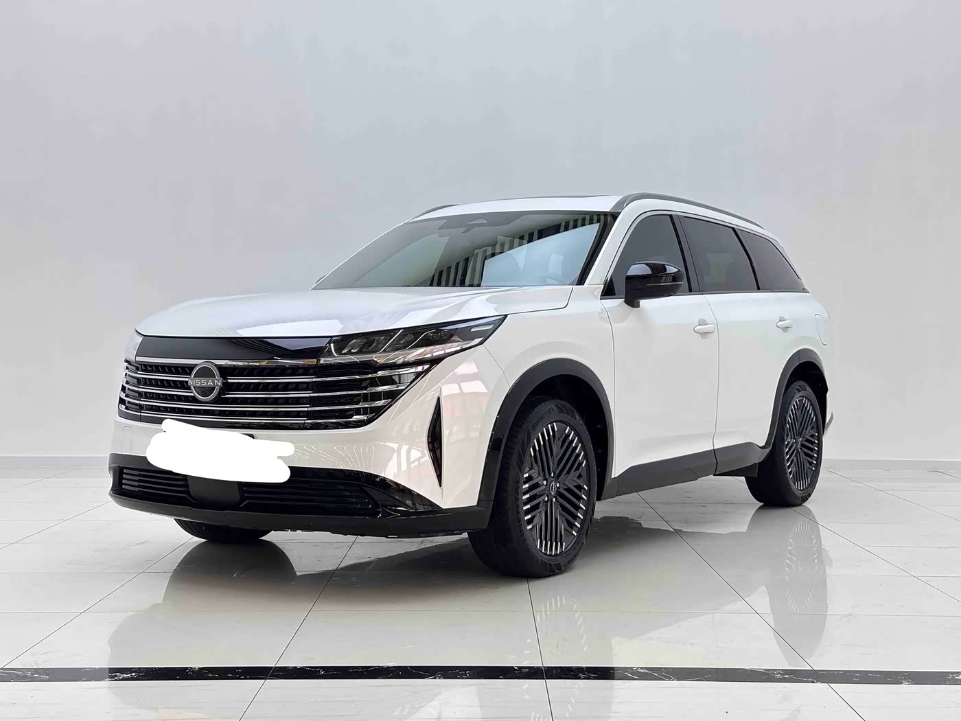 Nissan Terra