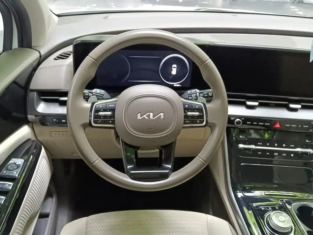 Kia Carnival 2021 2021 2.0T Luxury Premium Edition