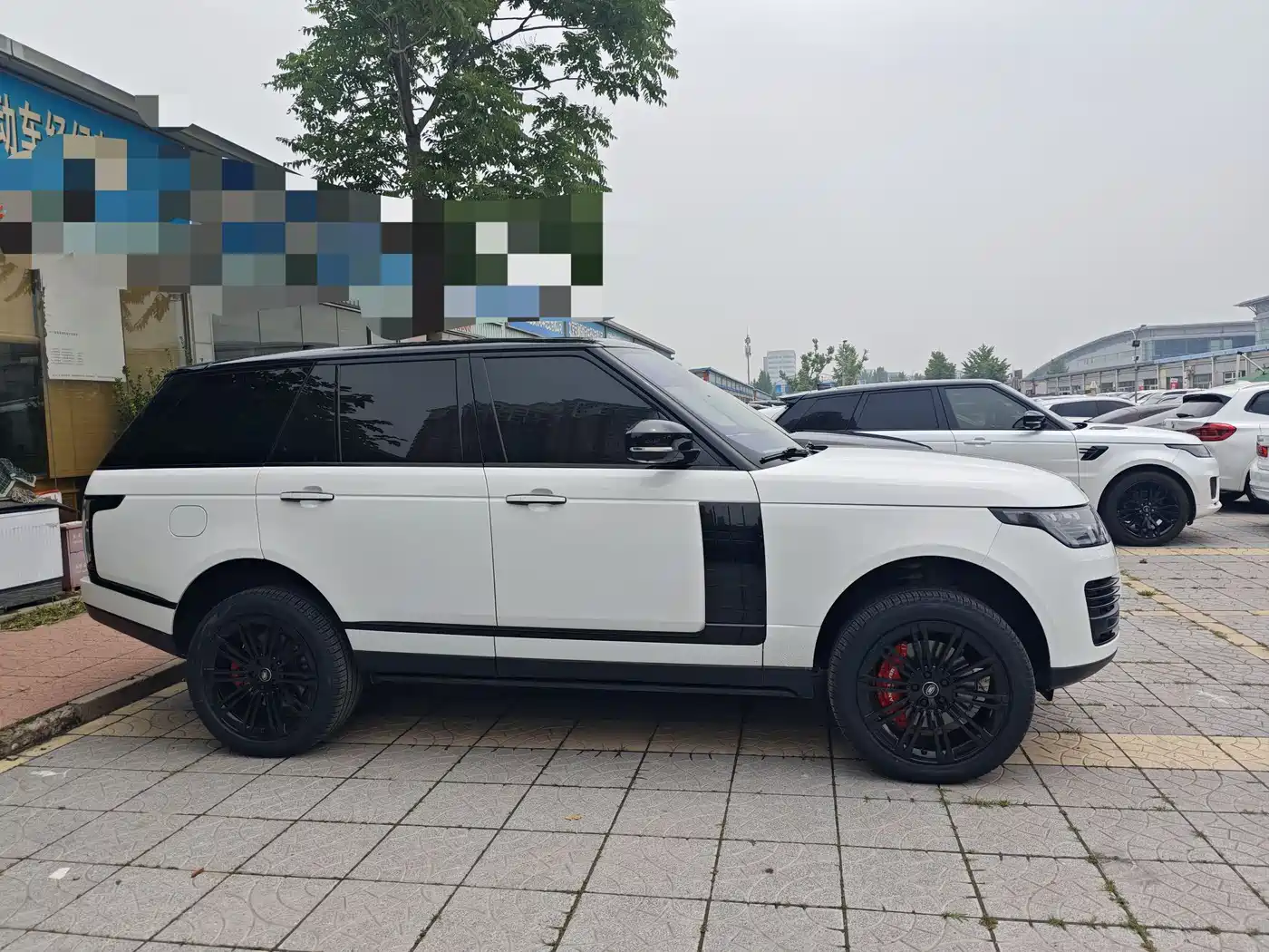 Land Rover Range Rover 2022 3.0 L6 360PS Heritage Edition фото 5