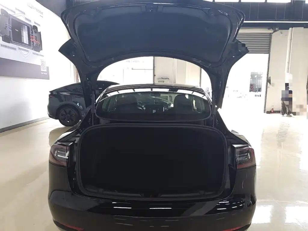 Tesla Model 3 2020 2020 Facelift Standard Range RWD Upgrade