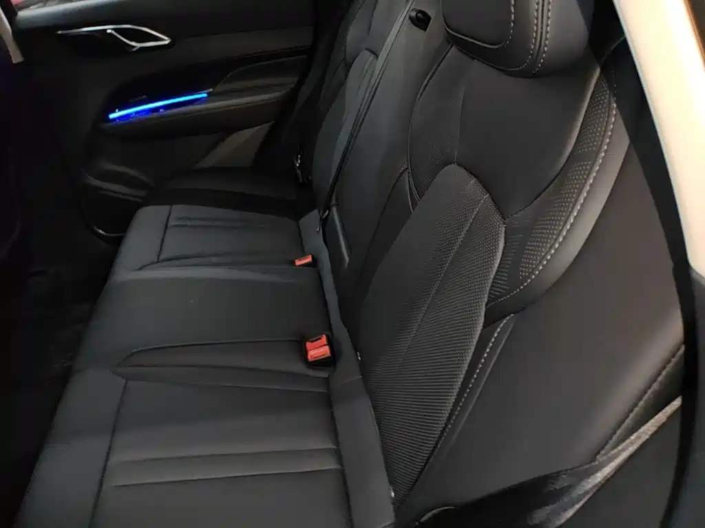 Hongqi HS3 PHEV 2026 2024 PHEV 115km Power Edition