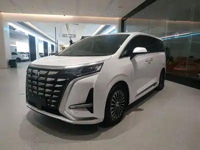 Denza D9