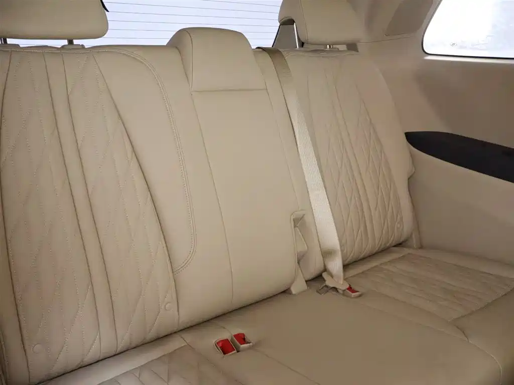 Buick GL8 2023 Facelift Land Business Class Luxury фото 23