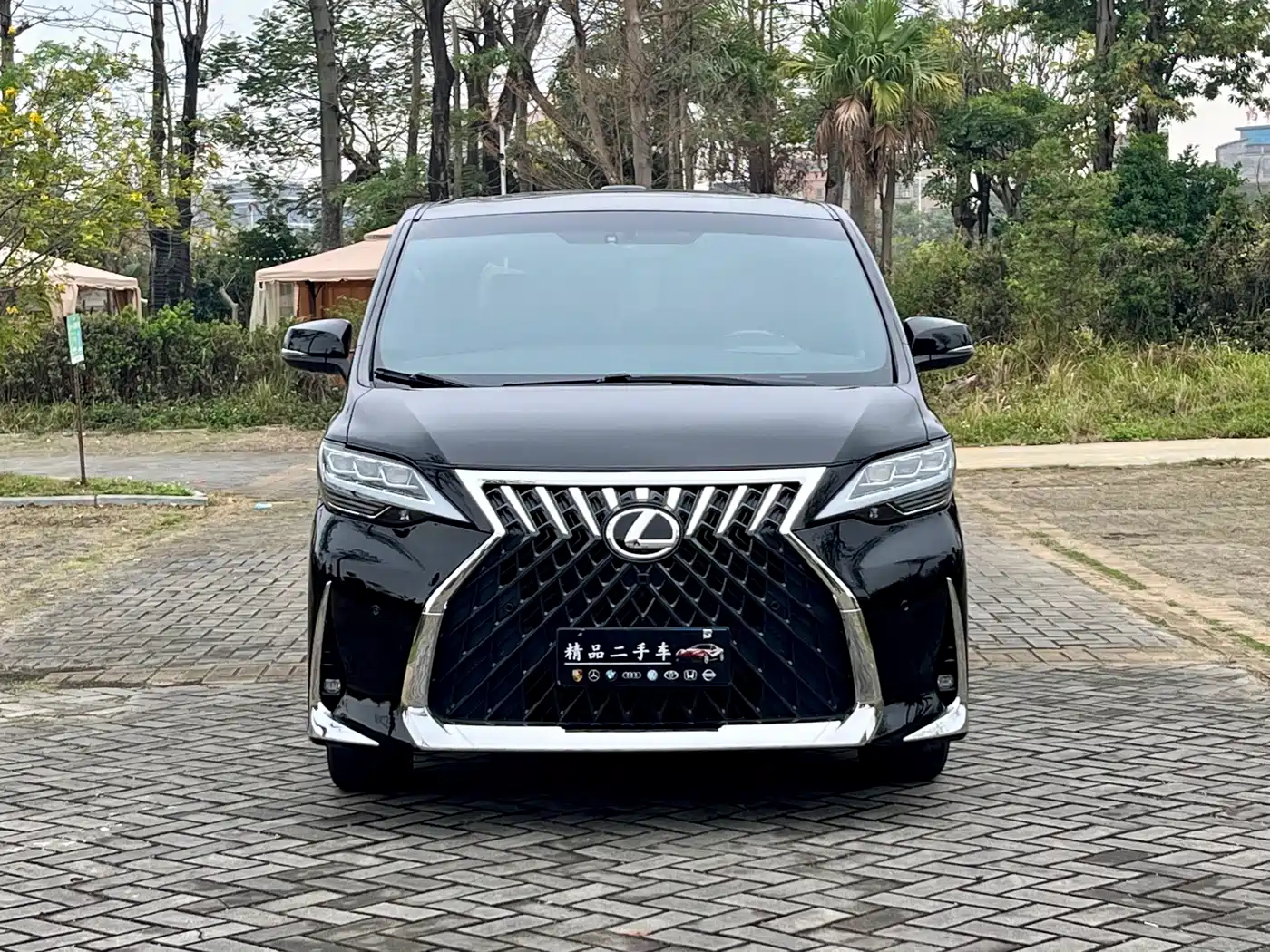 Toyota Alphard 2018 3.5L Luxury фото 2