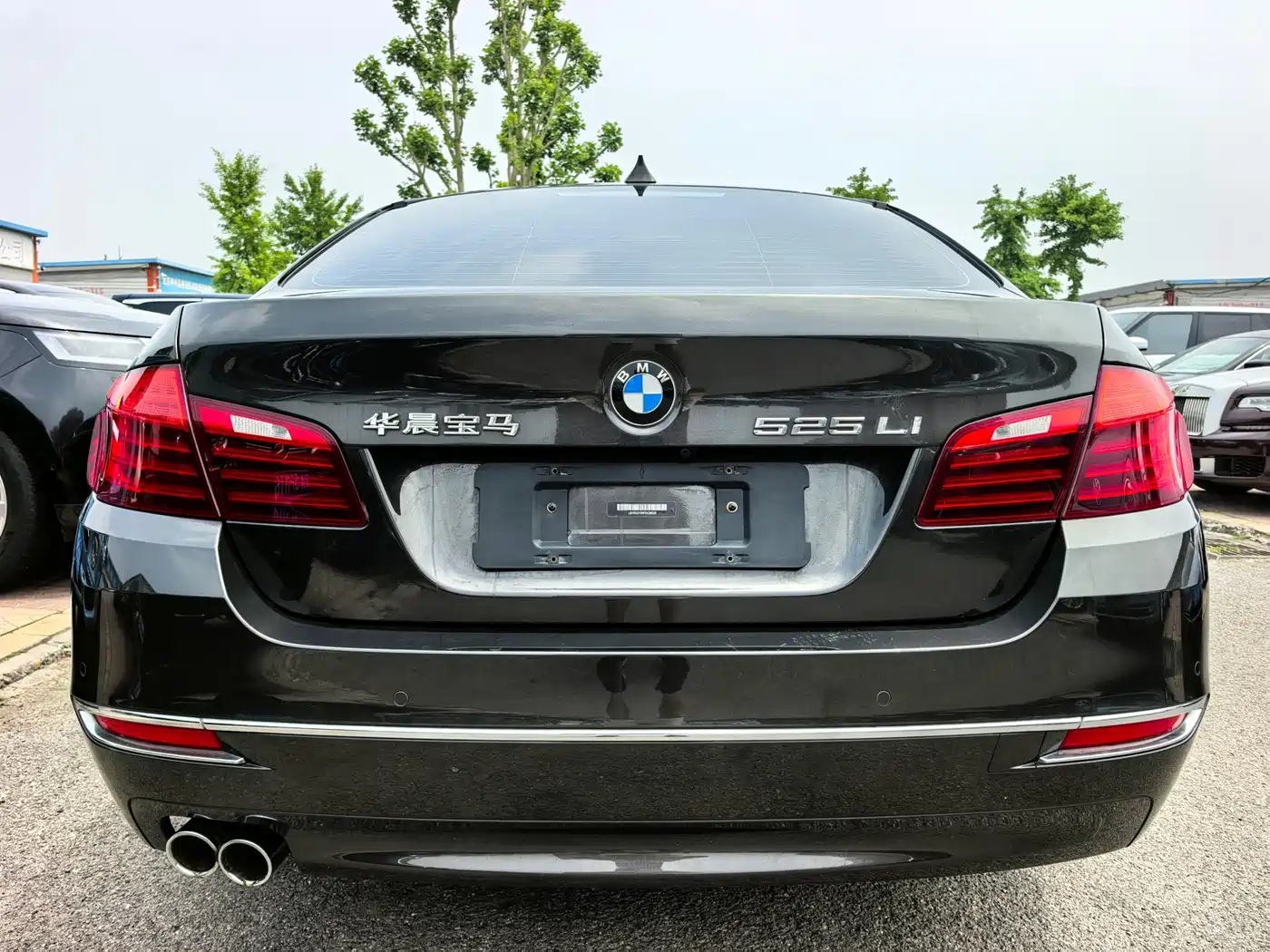 BMW 5 Series 2014 525Li Luxury Design Package фото 16