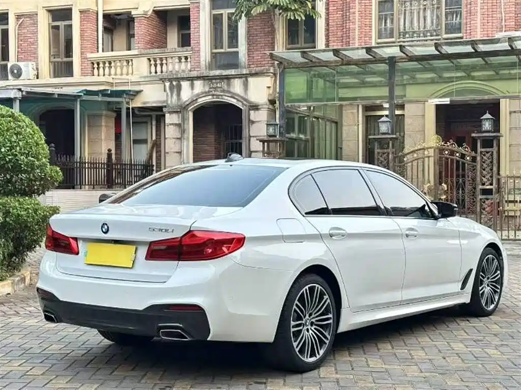 BMW 5 Series 2019 530Li Leading M Sport Package фото 6