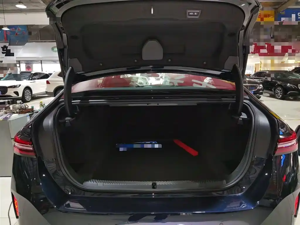BMW 5 Series 2024 530Li Leading M Sport Package фото 9