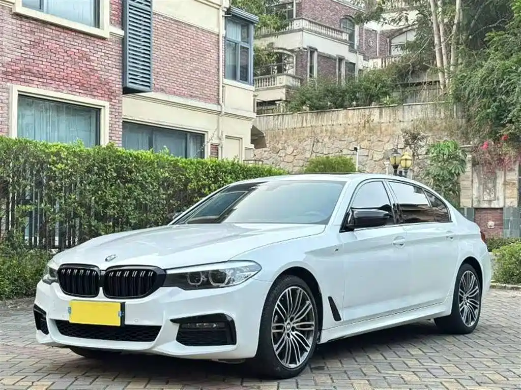 BMW 5 Series 2019 530Li Leading M Sport Package
