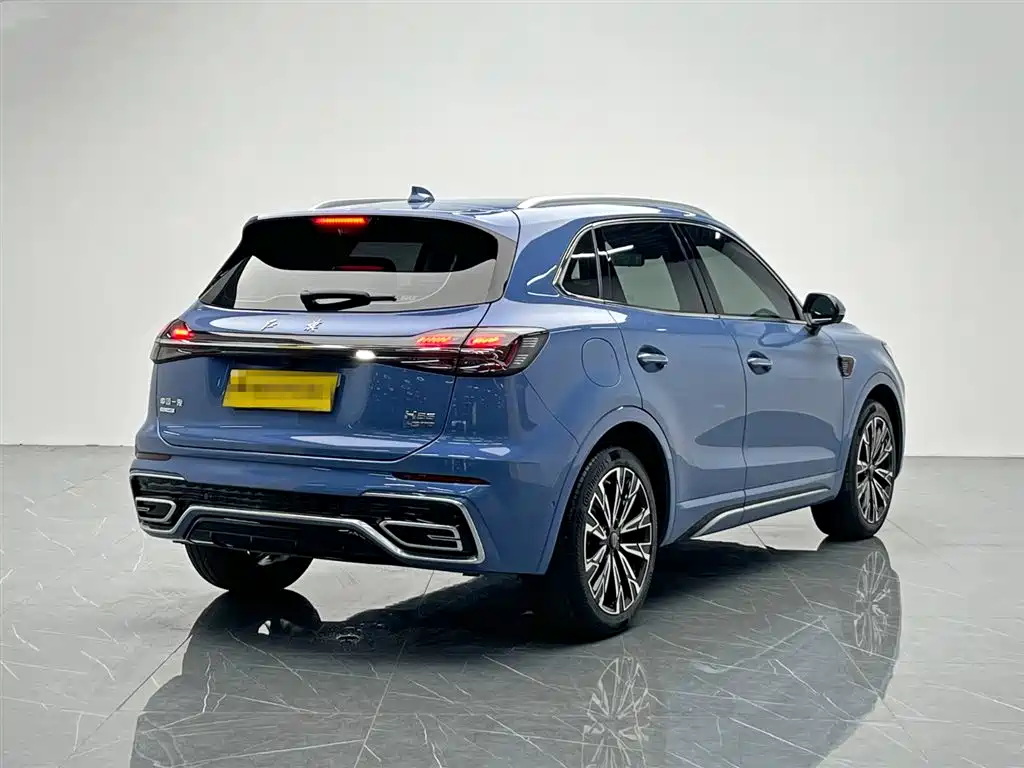 Hongqi HS5 2023 2.0T 4WD Flag Leader Pro фото 6